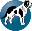 Bernard Health Named A 2011 NEXT Awards Finalist
